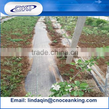 Anti weed cloth for peventing weed growth weed control fabric