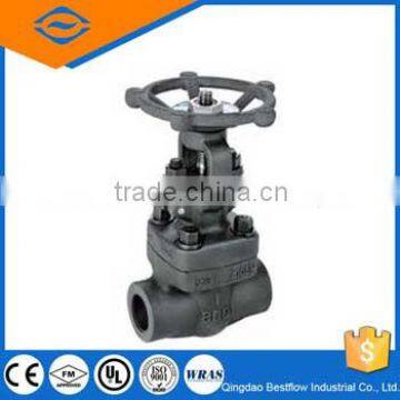 High pressure 800LB internal thread gate valve