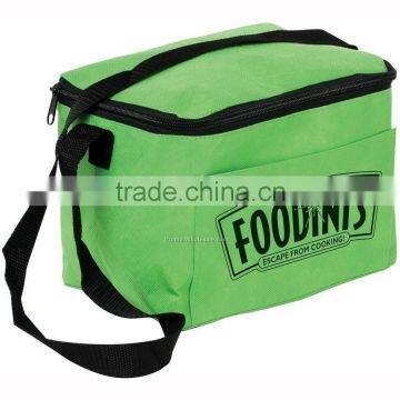 insulated cooler bag for frozen food (FLY-EL0098)