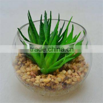 Goods From China Classic Artificial Plant Round Terrarium