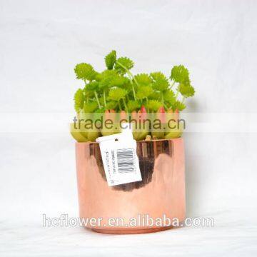 Artificial succulent plant for home and office decoration