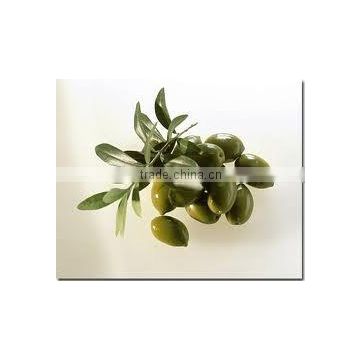 Olive leaf extract (Oleuropein 10%-40% HPLC)