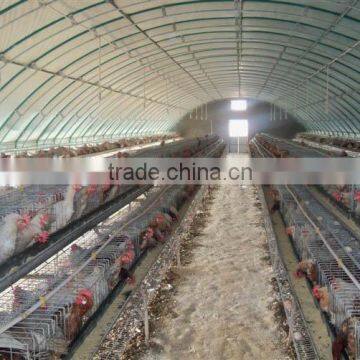 design modern chicken farm