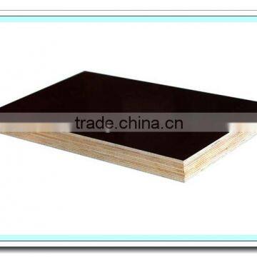 Black /Brown Film Faced Plywood photo-2