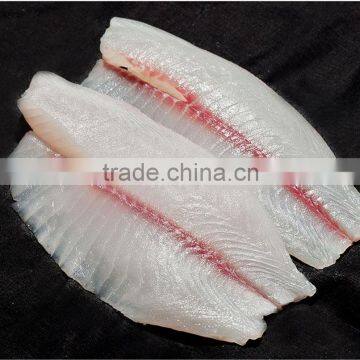 IQF Tilapia Fillet Fish Meat