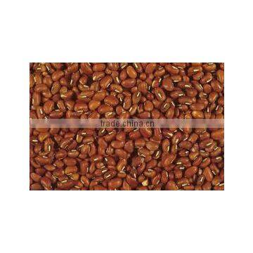 COW PEAS