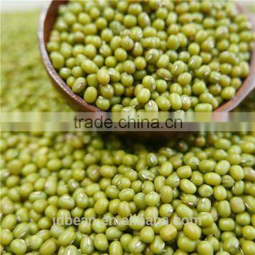 Green mung bean Moong dal for sprouting