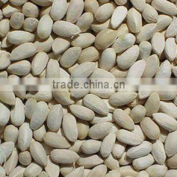 NEEM SEEDS photo-5