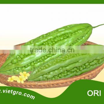 HIGH YIELD F1 HYBRID BITTER GOURD ORI 140/ VEGETABLE SEED/ GOURD SEEDS FOR SALE / ASIAN VEGETABLE