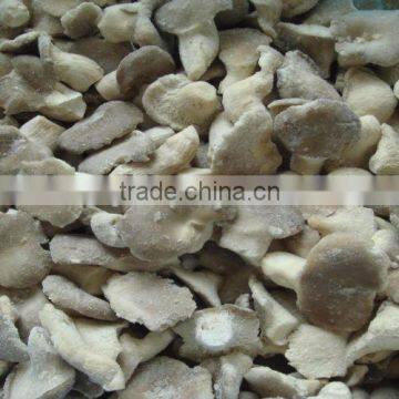 Fresh IQF oyster mushroom