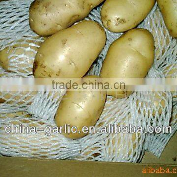 Want to buy Potato ( best quality, low price)