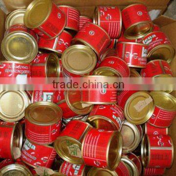 Canned Tomato Paste 70g*50tins