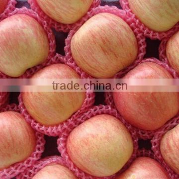 chinese red fuji apple