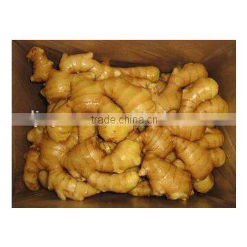 Laiwu Fresh Ginger