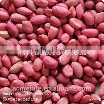 shandong big size blanched red skin peanut kernels