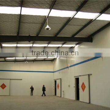 Professional Cold Storage Cooling Freezer Room