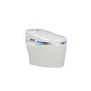 computerized toilet seat, full toilet seat,intelligent whole toilet seat, automatic whole toilet seat