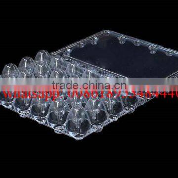 24 Holes Rectangular Clear Transparent Plastic Quail Egg Cartons, Plastic Quail Packing Tray 24eggs photo-3