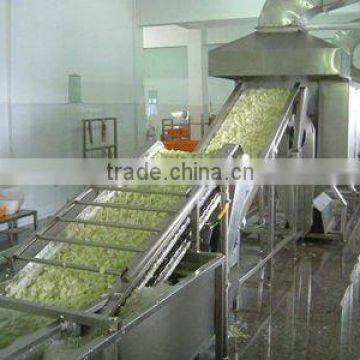 vegetables washing processing line machine