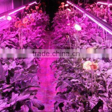 Promotional Products 20w 4ft Full Spectrum Cheap Led Grow Lights photo-4