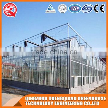 Factory outlet large Multi-span PC sheet agricultural-commercial Greenhouses