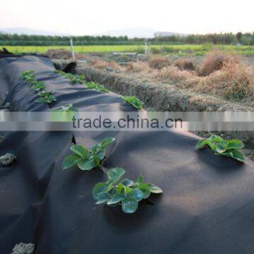Non-woven Weed Controler photo-3