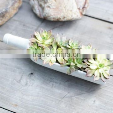 Attractive wine bottle shape cement fleshy flower pots