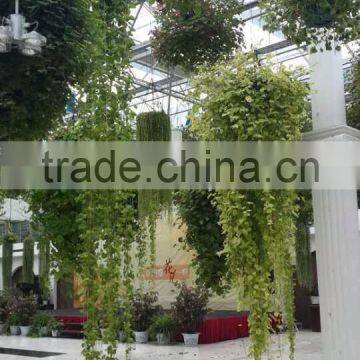 Dreamy Fairy Tale Wedding Special Hanging Plastic Flower Pots