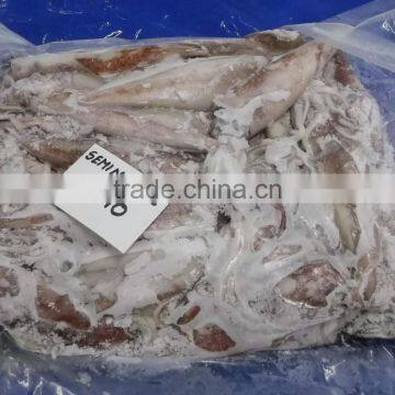 Semi Needle Squid Whole photo-2