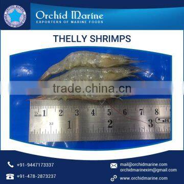 Fresh Dried Thelly Shrimps Available for Sale