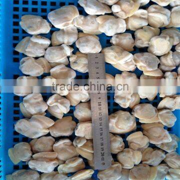 Tasty Best IQF Baby Clam Without Shell photo-2