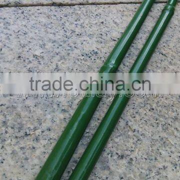 Plastic Coated Bamboo Canes photo-4