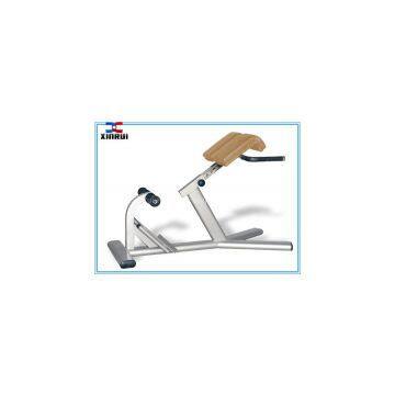 Roman Chair XR33 Back Extension Gym Bench