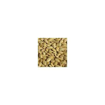 Supply Roasted Shine-Skin Pumpkin Seed