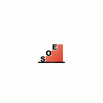 SOE Technology Ltd.