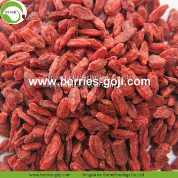 Factory Hot Sale Dried Himalayan Goji Berries