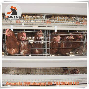 Salvador A Type Battery Laying Hen Cage & Chicken Cage with Automatic Feeding Machine 90-200 birds for Poultry Farm