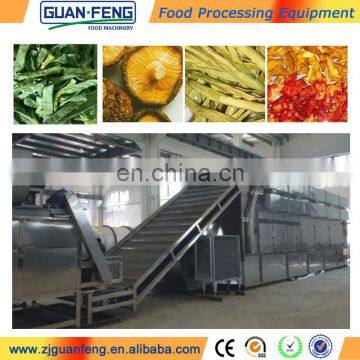 Automatic Belt Dryer Machine Industrial Fruits and Vegetables Dryers photo-4