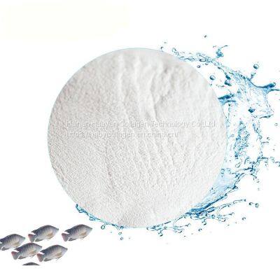 Chinese Supplier Food Grade White Powder Granule Fish Collagen Nutrilite Collagen Peptide photo-3