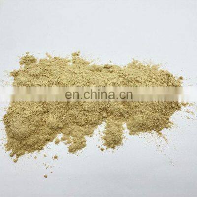 Natural Mushroom Extract Organic Maitake Powder