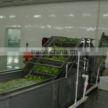 Industrial Large Capacity Fruit and Vegetable Washing Machine photo-3