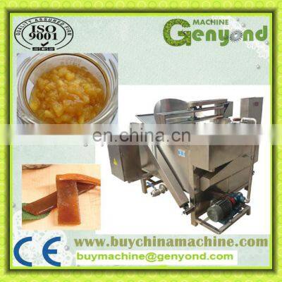 Final Manufacturer Factory Complete Mango Bar Fruit Leather Forming Making Machine Fruit Roll up Process Plant Production Line photo-2