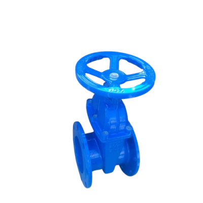 DIN 3352 F4 Pn16 Rising Stem Resilient Seated Ductile Iron Di Flange End Gate Valve photo-4