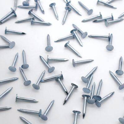 Customizable Roofing Clout Nails - Galvanized, 1kg or 25kg, Made in China photo-5