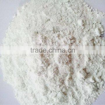 Calcium Carbonate Powder 45 micron