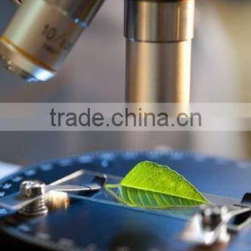 ORGANIC ARGAN OIL ( 100 % Pure ) ALL- PURPOSE OIL From Morocco ( BULK ) photo-6