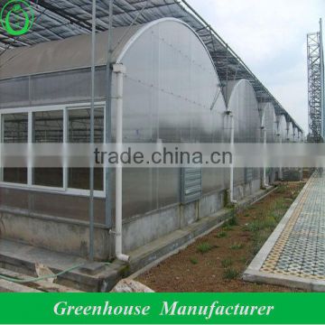 multi span dome polycarbonate sheet greenhouse