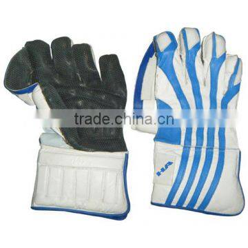 Wicket Keeper Gloves White and Blue