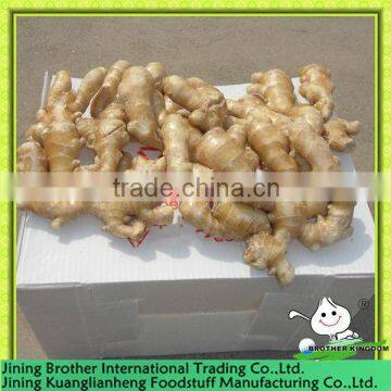 PVC carton ginger in plastic carton