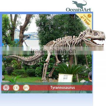 Artificial resin life size dino skeleton